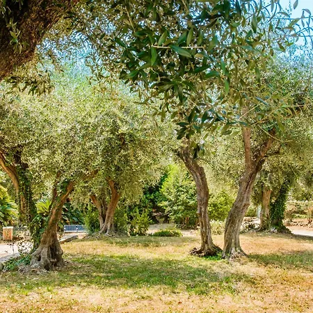 Апартаменты Evasion Cannoise